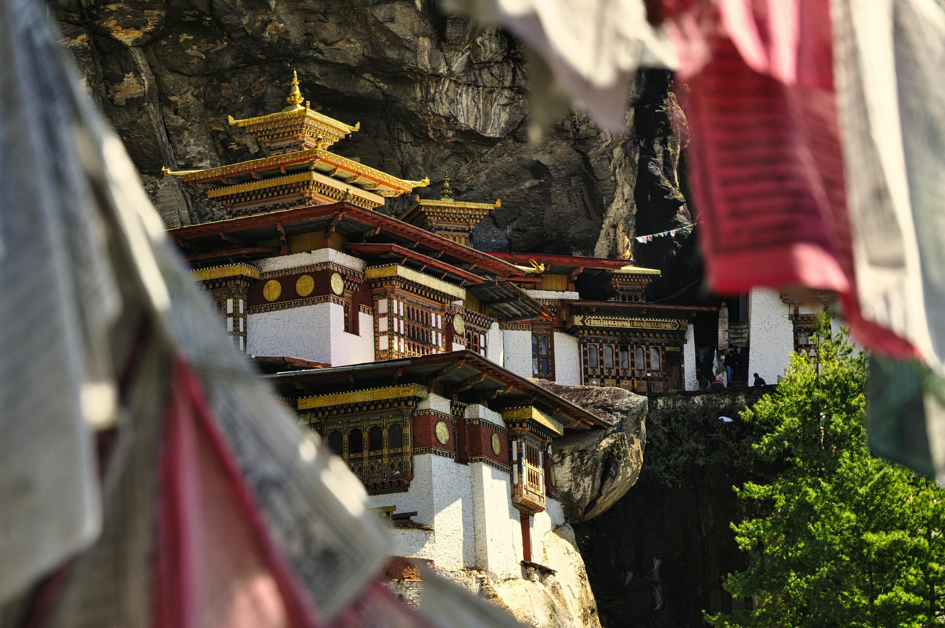 Bhutan Unveiled: 12 Days of Discover